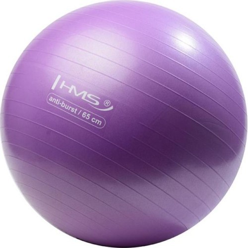 YB02 NEW 65CM PURPLE GYM BALL HMS