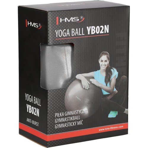 YB02 NEW 55CM GRAPHITTE GYM BALL HMS