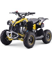 Квадроцикл RENEGADE HighPer 49CC желтый