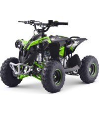 Квадроцикл с двигателем RENEGADE HighPer 110CC зеленый