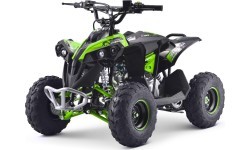 Benzīna kvadricikls Renegade 110CC, zaļš