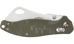 Folding Knife Ganzo Firebird F7551-GR