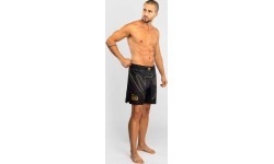 Venum Serpenti Fight Shorts - Black/Silver/Gold
