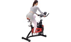 SW8902N SPIN BIKE HMS