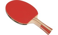 Buffalo Active Table Tennis Bat