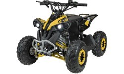 RENEGADE HighPer 110CC iekšdedzes kvadracikls Dzeltens