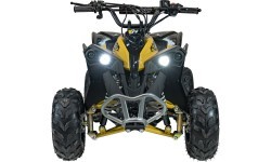 RENEGADE HighPer 110CC iekšdedzes kvadracikls Dzeltens