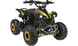 Квадроцикл RENEGADE HighPer 110CC желтый