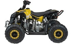 RENEGADE HighPer 110CC iekšdedzes kvadracikls Dzeltens