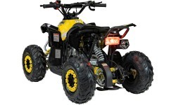 Квадроцикл RENEGADE HighPer 110CC желтый