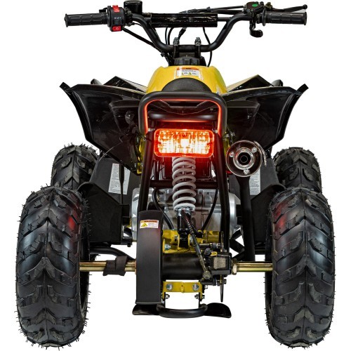 RENEGADE 110CC Gas Powered Vehicles Yellow