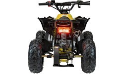 Квадроцикл RENEGADE HighPer 110CC желтый
