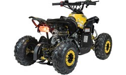 RENEGADE HighPer 110CC iekšdedzes kvadracikls Dzeltens