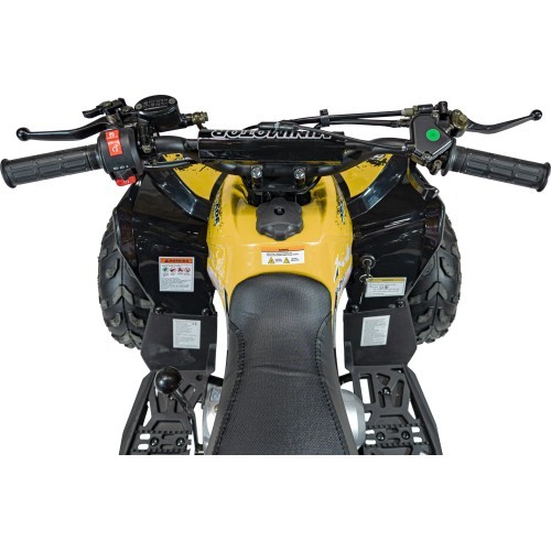 Квадроцикл RENEGADE HighPer 110CC желтый