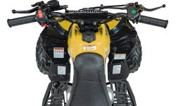 RENEGADE 110CC Gas Powered Vehicles Yellow
