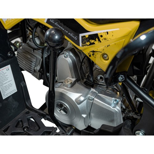 RENEGADE HighPer 110CC iekšdedzes kvadracikls Dzeltens
