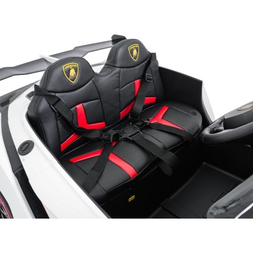 Vehicle Lamborghini Veneno White