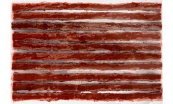 Набор для ремонта бескамерных шин FORCE // 3,5x100 мм, 10 шт (коричневый)