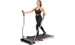 LOOP15 ЭЛЕКТРИЧЕСКАЯ БЕГОВАЯ ДОРОЖКА ДЛЯ НОРДИЧЕСКОЙ ХОДЬБЫ HMS