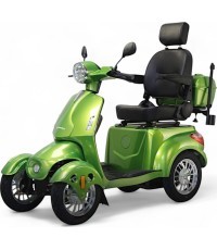 Four-Wheel Electric Scooter inSPORTline Antun - Green