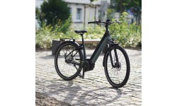 Электросамокат Prophete Geniesser 4.0 28" // N7 размер 19" (48 см) (серый/голубой)