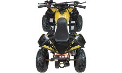 Квадроцикл RENEGADE HighPer 110CC желтый