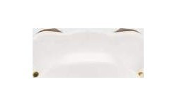 Venum Elite Lipguard OG Edition - White/Gold