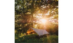 Tarp Lesovik ZMORA walnut brown