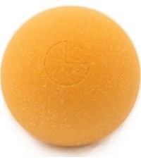 Stalo futbolo kamuoliukas Garlando SPEED Control