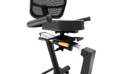 Recumbent Bike inSPORTline ZenSeat 100