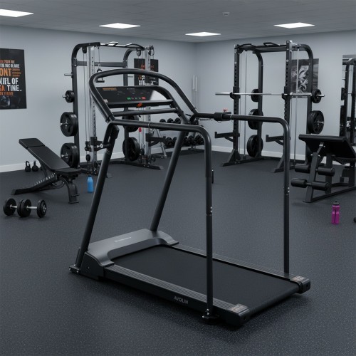 Беговая дорожка inSPORTline Avolin