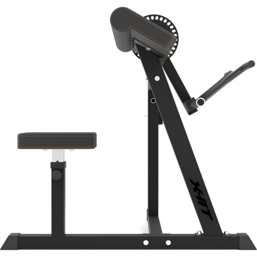 Bicepsu un tricepsu trenažieris inSPORTline X-NT BT20
