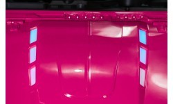 PASSION 4x4 Pink Off-Road Vehicle