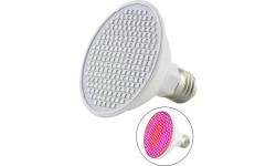 Infrared LED Bulb inSPORTline 6W