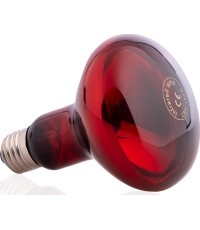 Infrasarkanā spuldze inSPORTline 150W/230V E27 R95