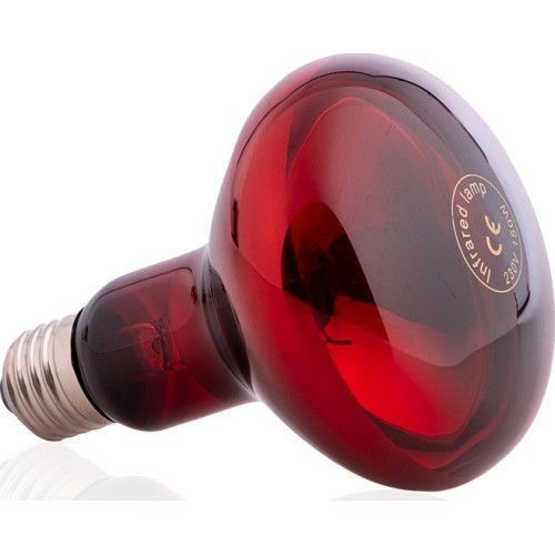 Infrasarkanā spuldze inSPORTline 150W/230V E27 R95