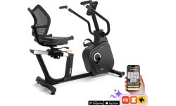 Recumbent Bike inSPORTline ZenSeat 100