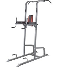 Многоцелевая станция для подтягиваний inSPORTline Power Tower PT300