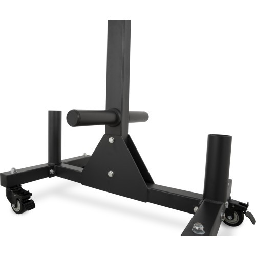Pivot Fitness M395 Mobile Plate Tree