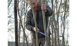 Folding Hand Saw Silky Gomboy 240-10