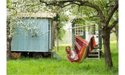 Hammock Amazonas Brasil Acerola