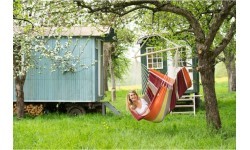 Hammock Amazonas Brasil Acerola