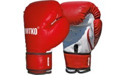 Boxing Gloves SportKO PD2 - Black