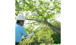 Folding Hand Saw Silky Katanaboy 650-4