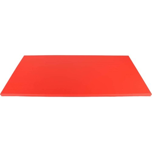 Judo Mat Taishan 200 x 100 x 5 cm Red