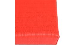 Judo Mat Taishan 200 x 100 x 5 cm Red