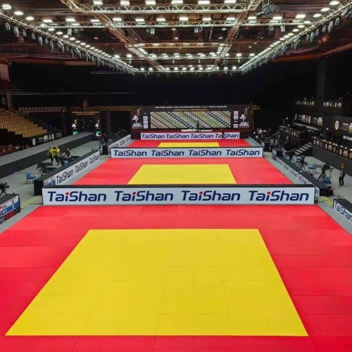 Judo Mat Taishan 200 x 100 x 4 cm Yellow