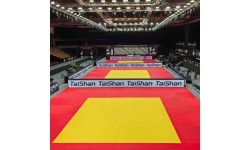 Džudo paklājs Taishan 200 x 100 x 4 cm dzeltens