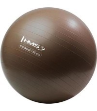 YB02N 65CM GRIZZLY GYM BALL HMS
