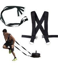 Plecu siksnas svara ragavām inSPORTline SledMaster